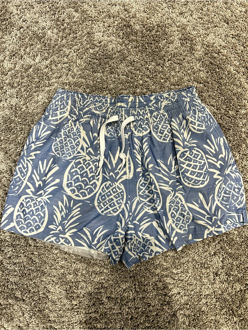 chubbies Blue Pineapple Print Men’s Lined Swim Trunks 4”
